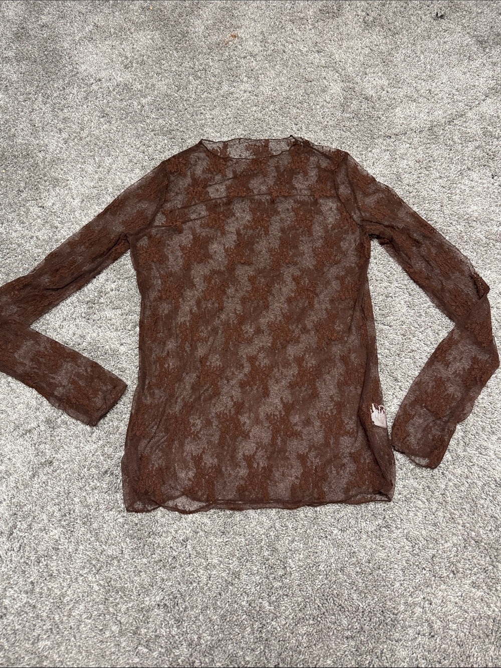 SHEIN Brown Sheer Lace Long Sleeve Top